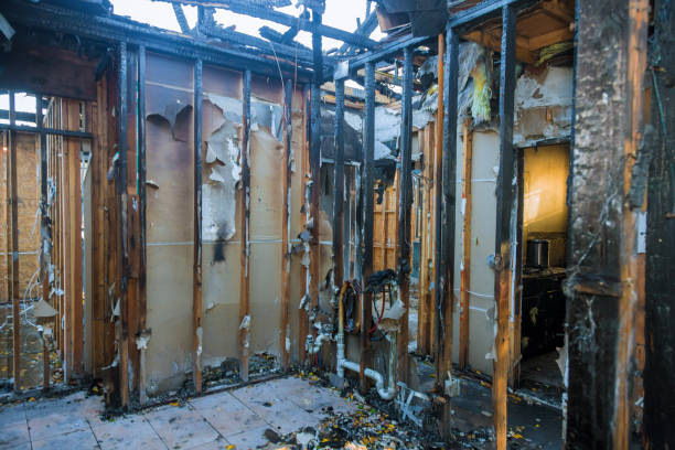 Professional Fire Damage Repair technician working in Odenton, MD